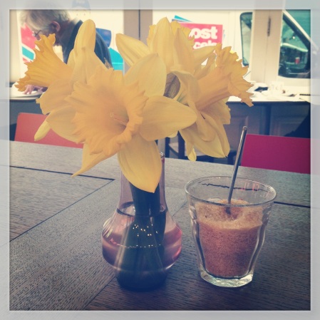 Daffodils in vase, Damson